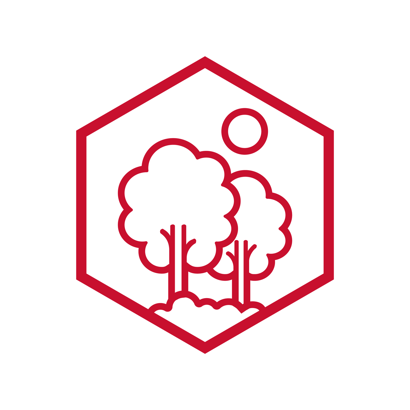 Natural Resources and Environment